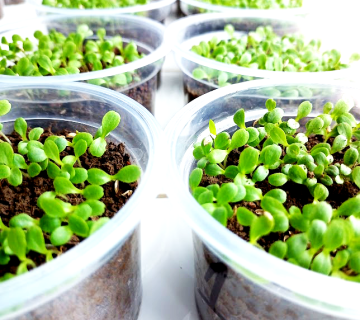 Laboratory experience