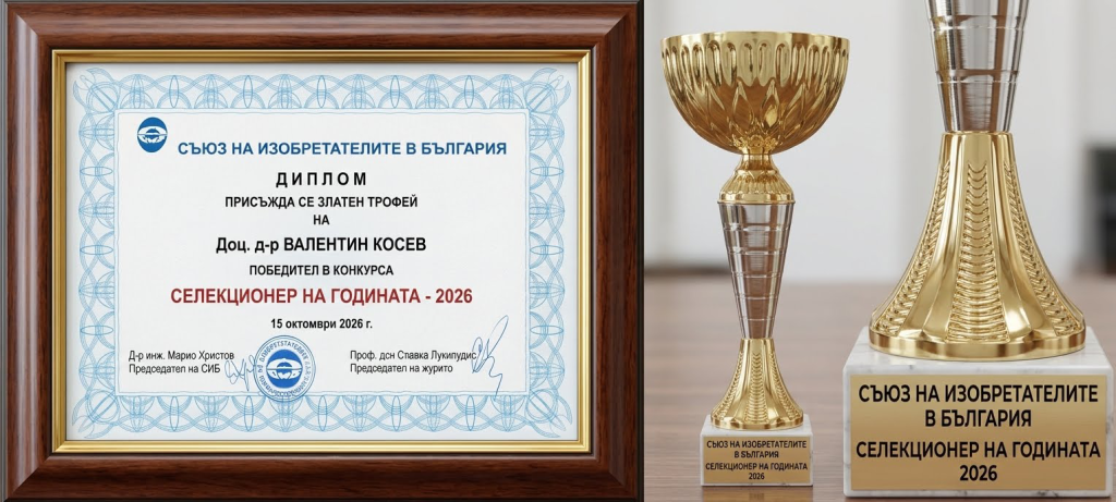 Award2026 1024x461